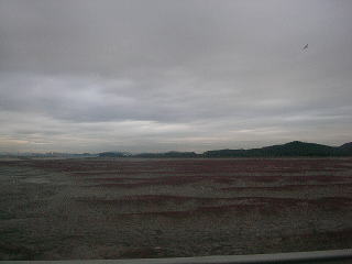 2007年夏のカンナム地区の写真