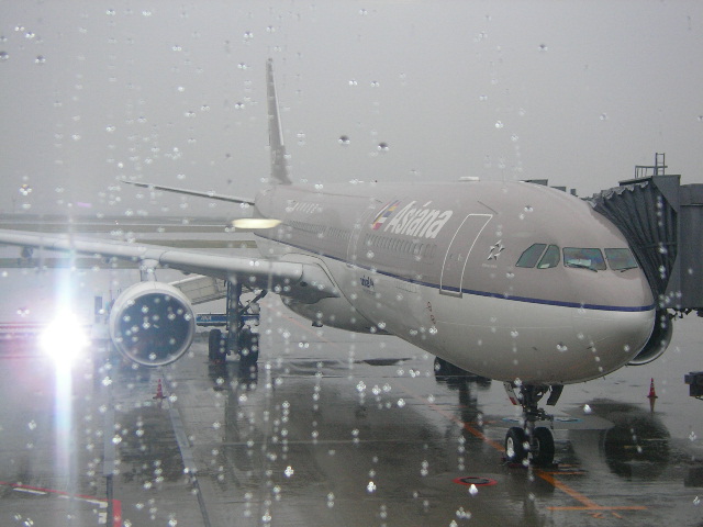 2006年春　てるみくらぶの写真