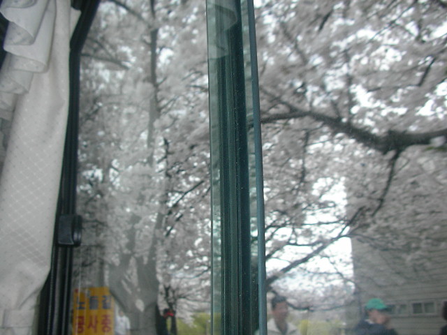 2006年春　てるみくらぶの写真