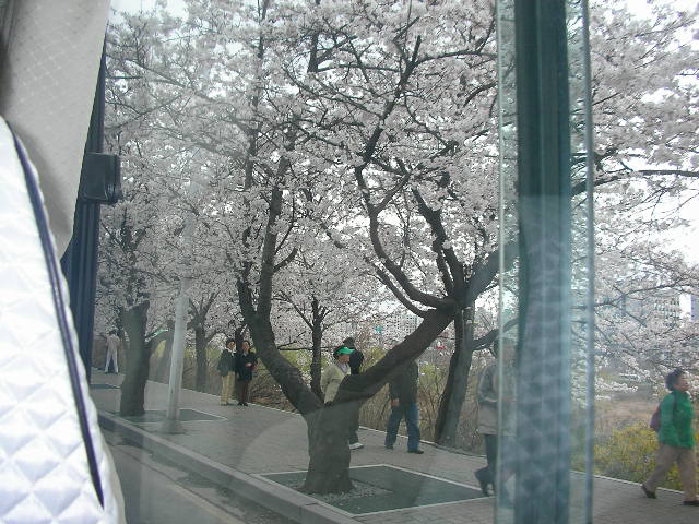2006年春　てるみくらぶの写真